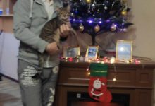 Photo of 111111111111111111111