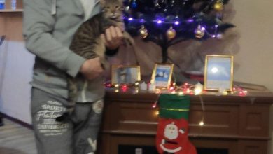 Photo of 111111111111111111111